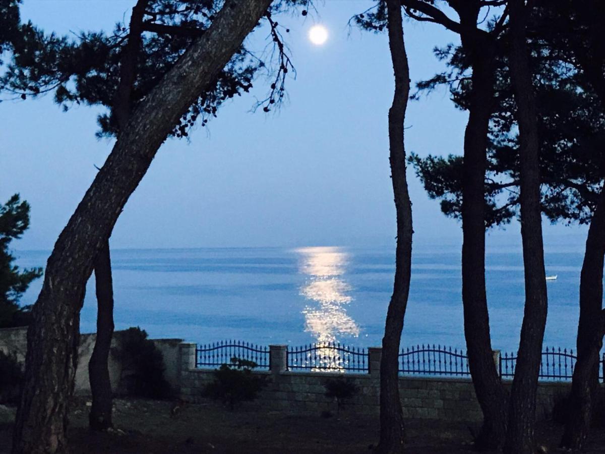 Vila Vera Seafront Apartments Sumartin Εξωτερικό φωτογραφία