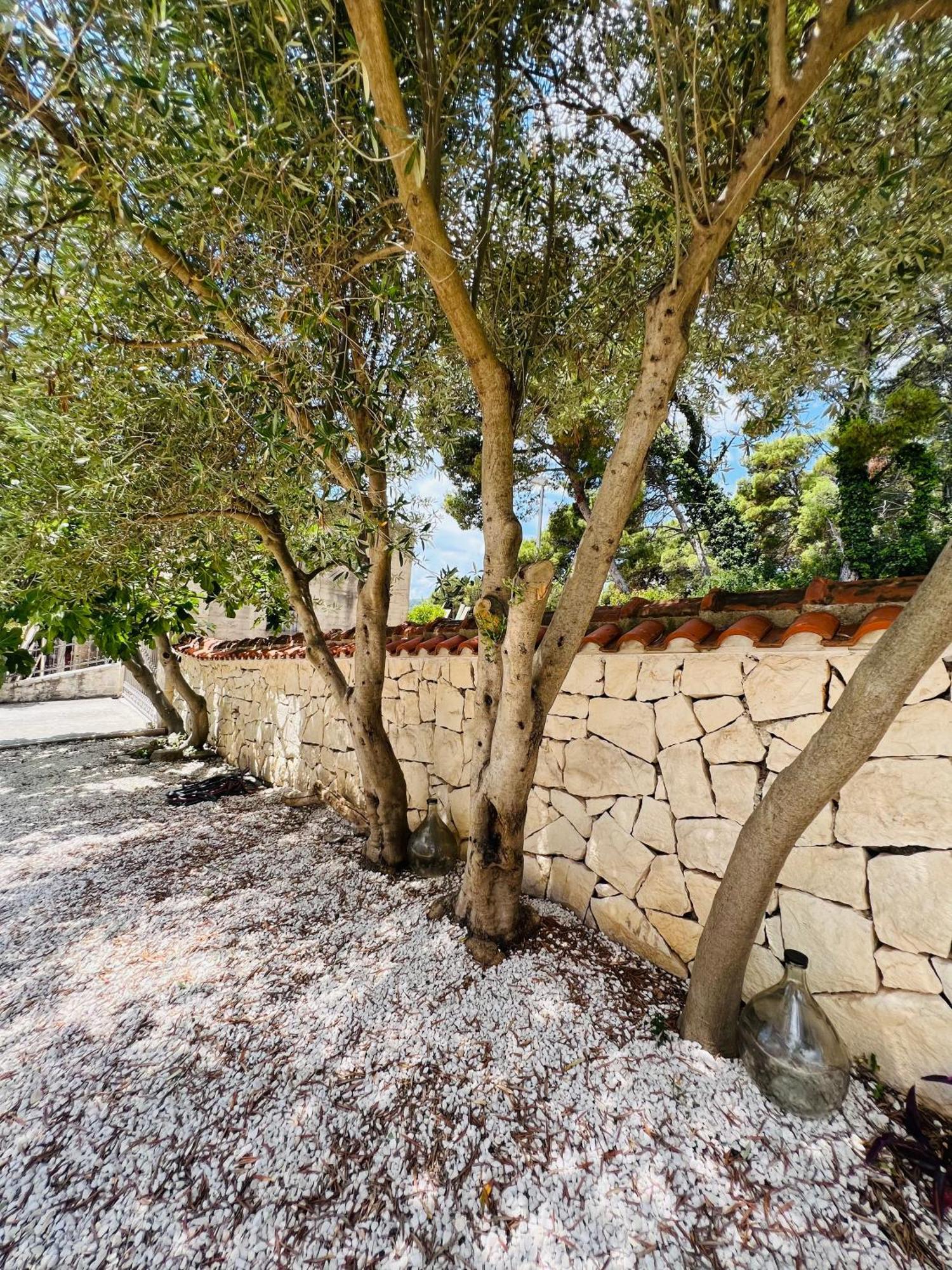 Vila Vera Seafront Apartments Sumartin Εξωτερικό φωτογραφία